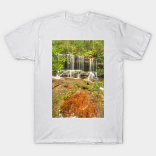 Somersby Falls with copper puddle T-Shirt